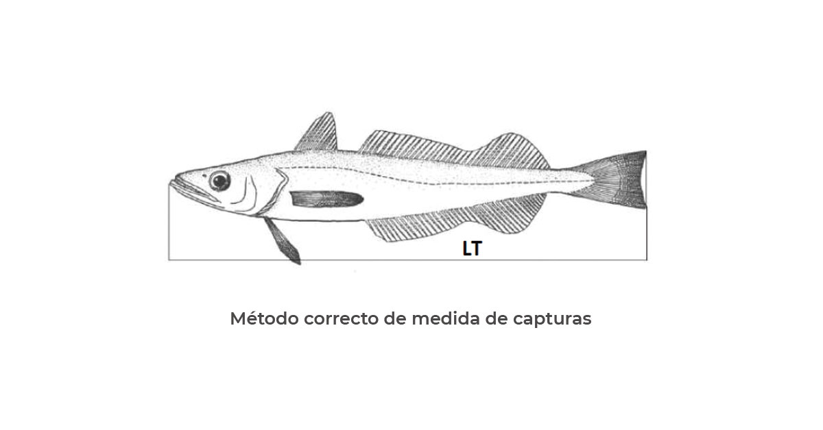 fishing in ibiza method measure