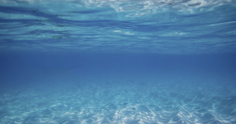 Ibiza's marine life: what's hidden under the water?